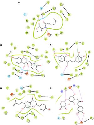 Virtual Screening and Biomolecular Interactions of CviR-Based Quorum Sensing Inhibitors Against Chromobacterium violaceum